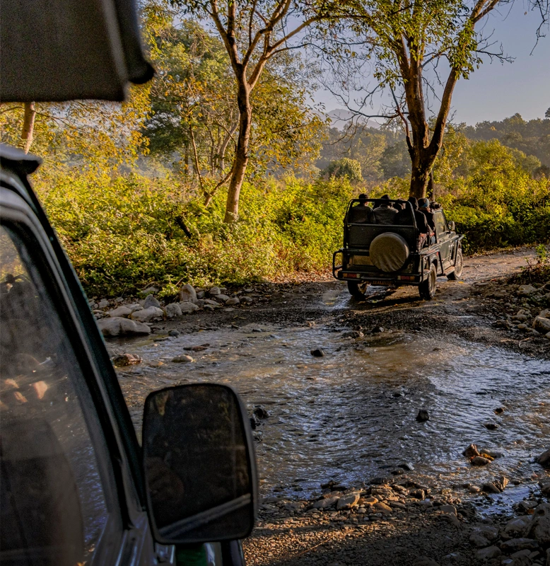 Jim Corbet Fun Tour with 2 Thrilling Gypsy Safaris (1N/2D)