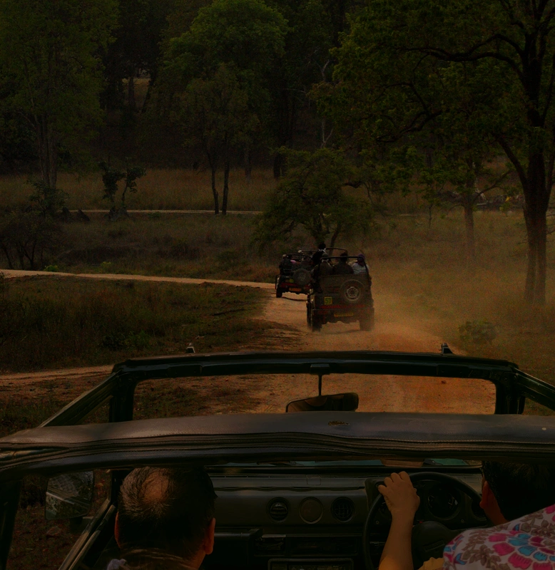 Jim Corbett Holiday Tour with 2 Thrilling Gypsy Safaris (2N/3D)