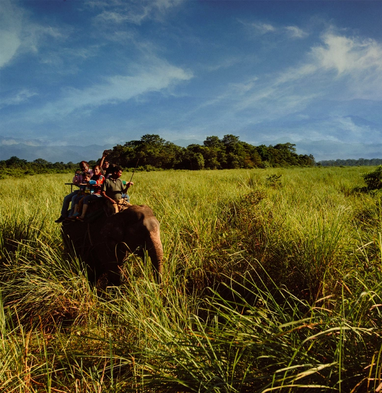 Jim Corbett Tour Package with 1 Elephant Safari (1N/2D)
