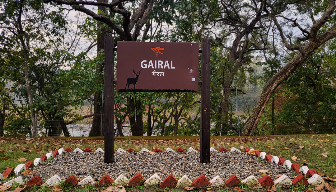 Dhikala Forest Rest House