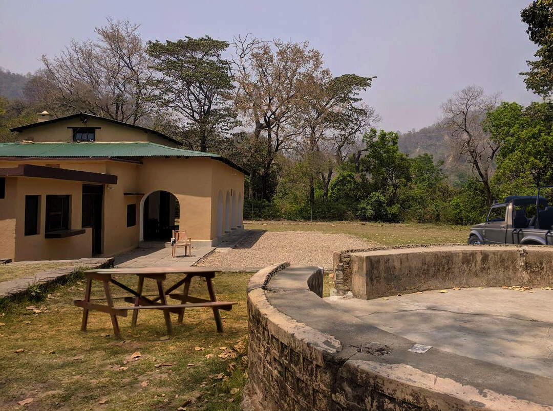 Jim corbett Jhirna Zone