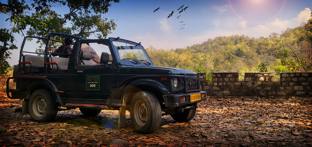 Jim corbett gypsy safari