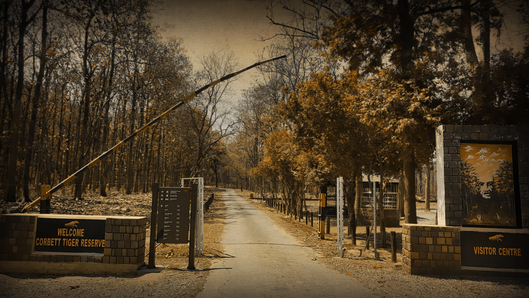 Jim Corbett National Park