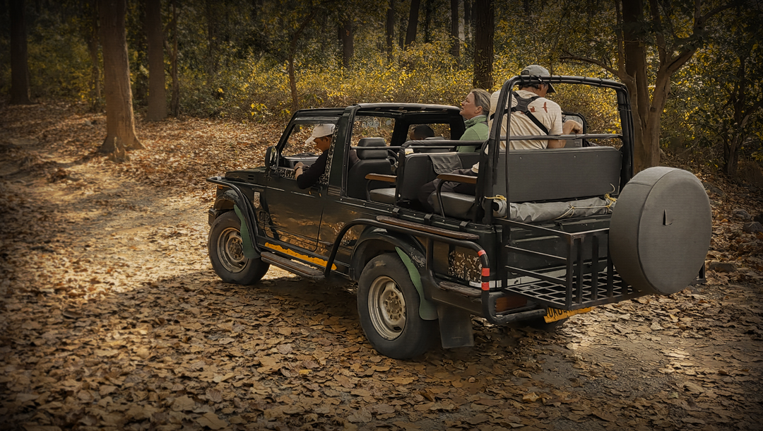 Jim Corbett Gypsy Safari