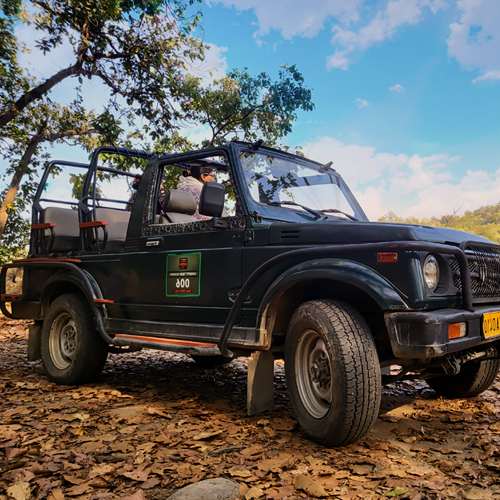 Jim corbett safari booking