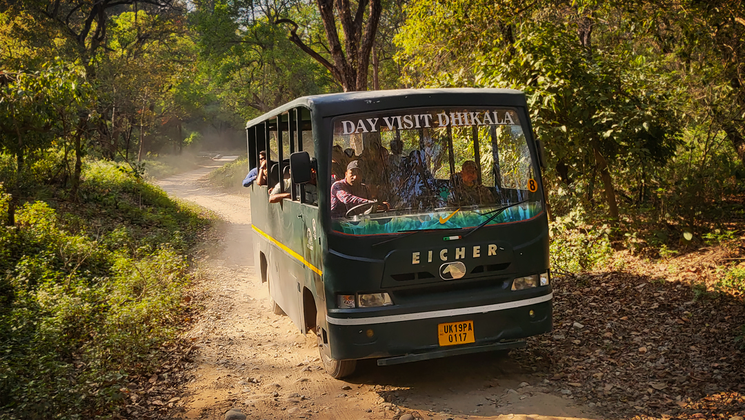 Dhikala zone canter safari 1
