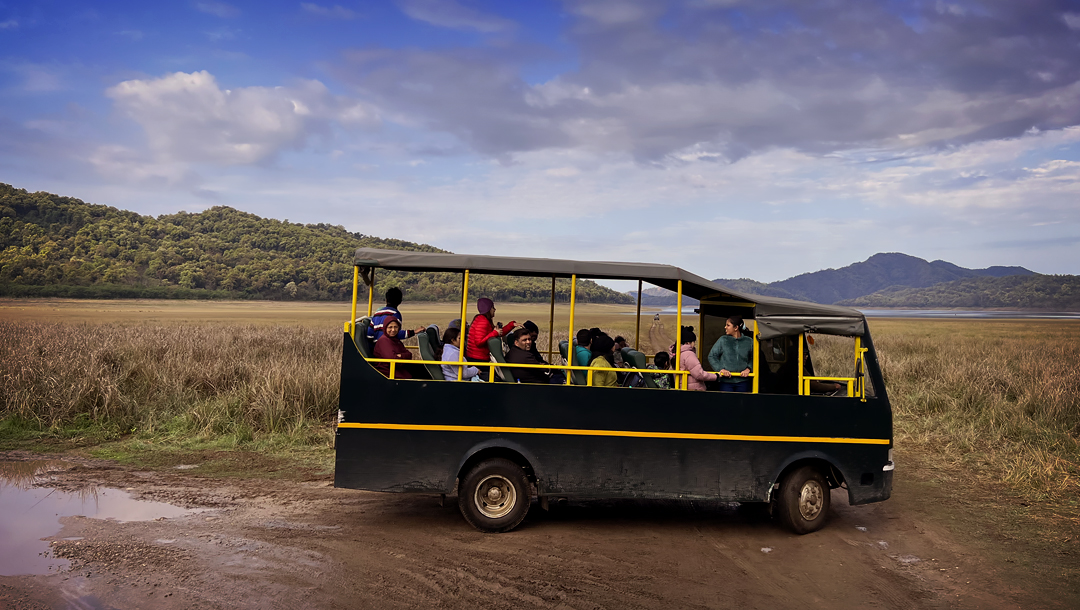 Dhikala zone canter safari 2