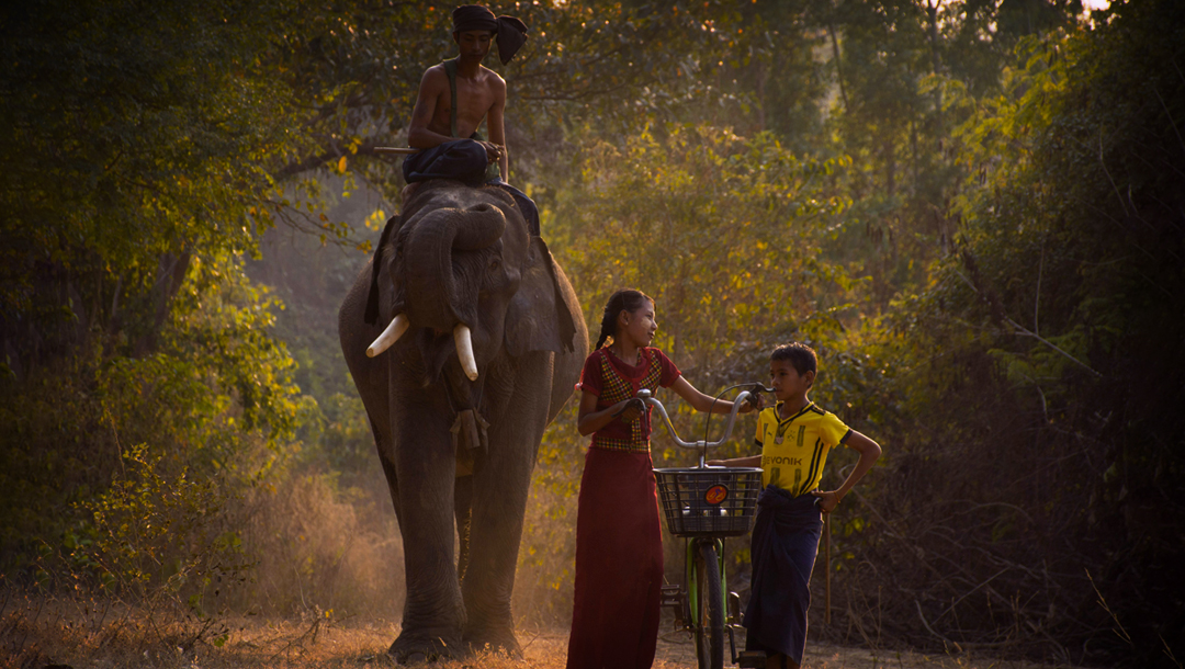 Dhikala zone elephant safari 1
