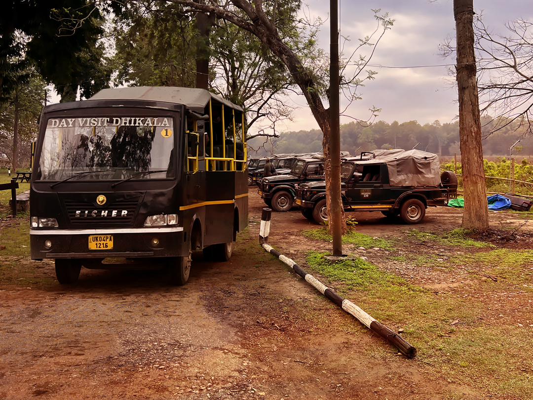 Canter safari in Jim Corbett